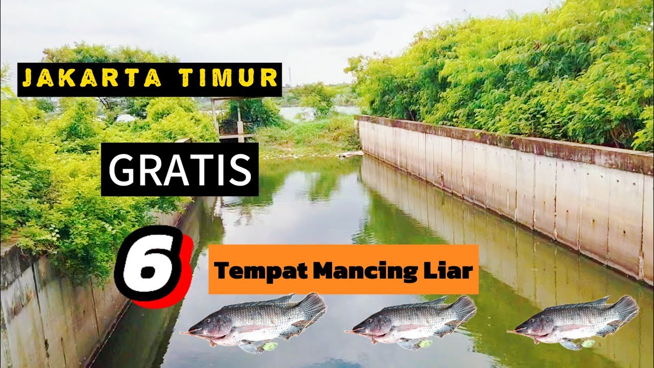 6 Lokasi Mancing Liar Di JGC Jakarta Timur