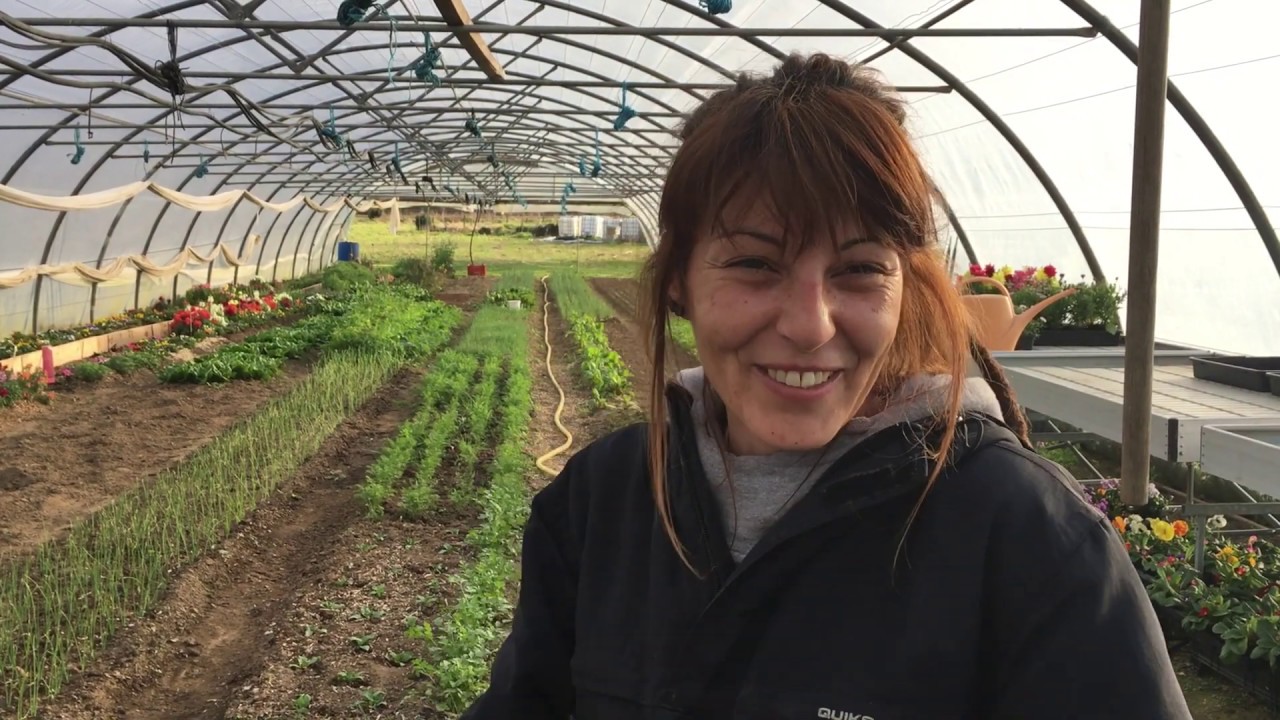 Biobrotes: flores comestibles, brotes y microvegetales