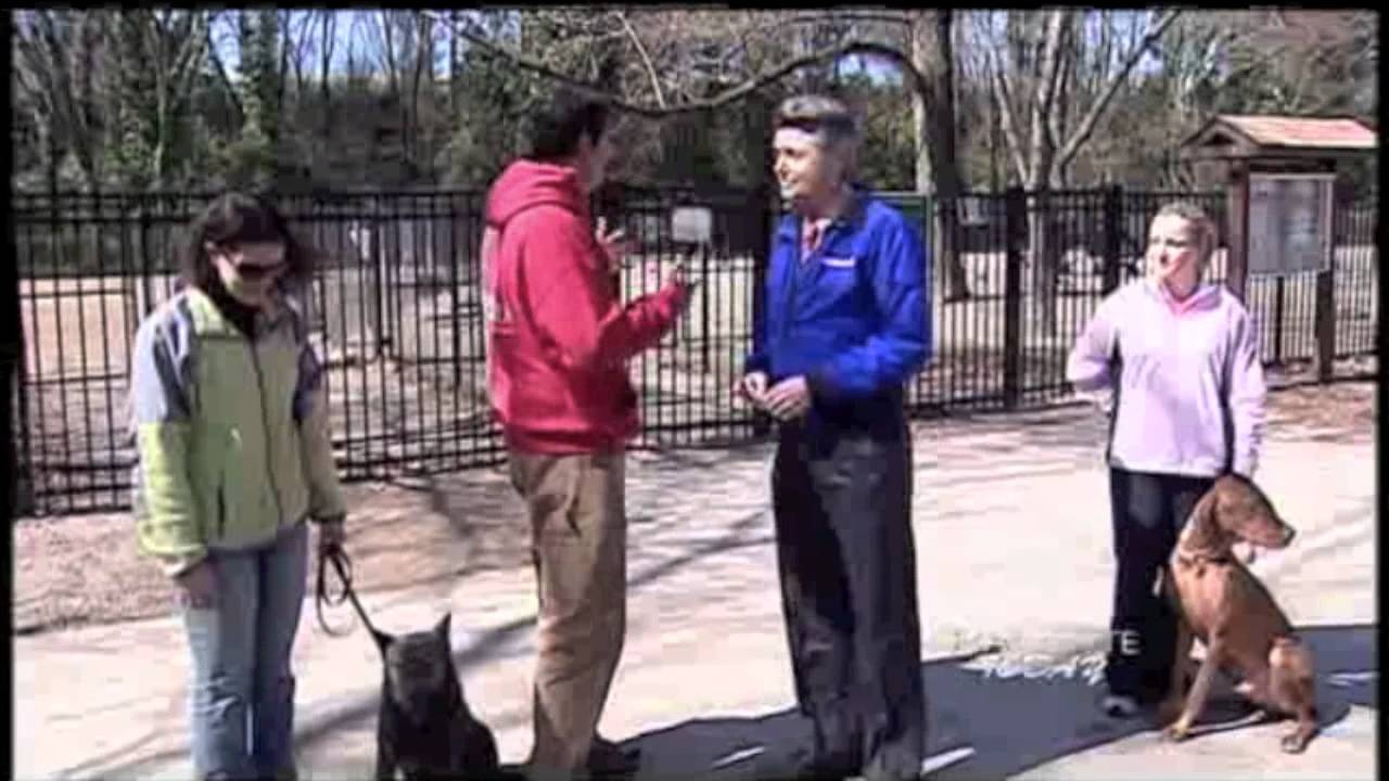 Off Leash Dog Park Etiquette explained: Off Leash Dog Training.com 888-811-DOGS