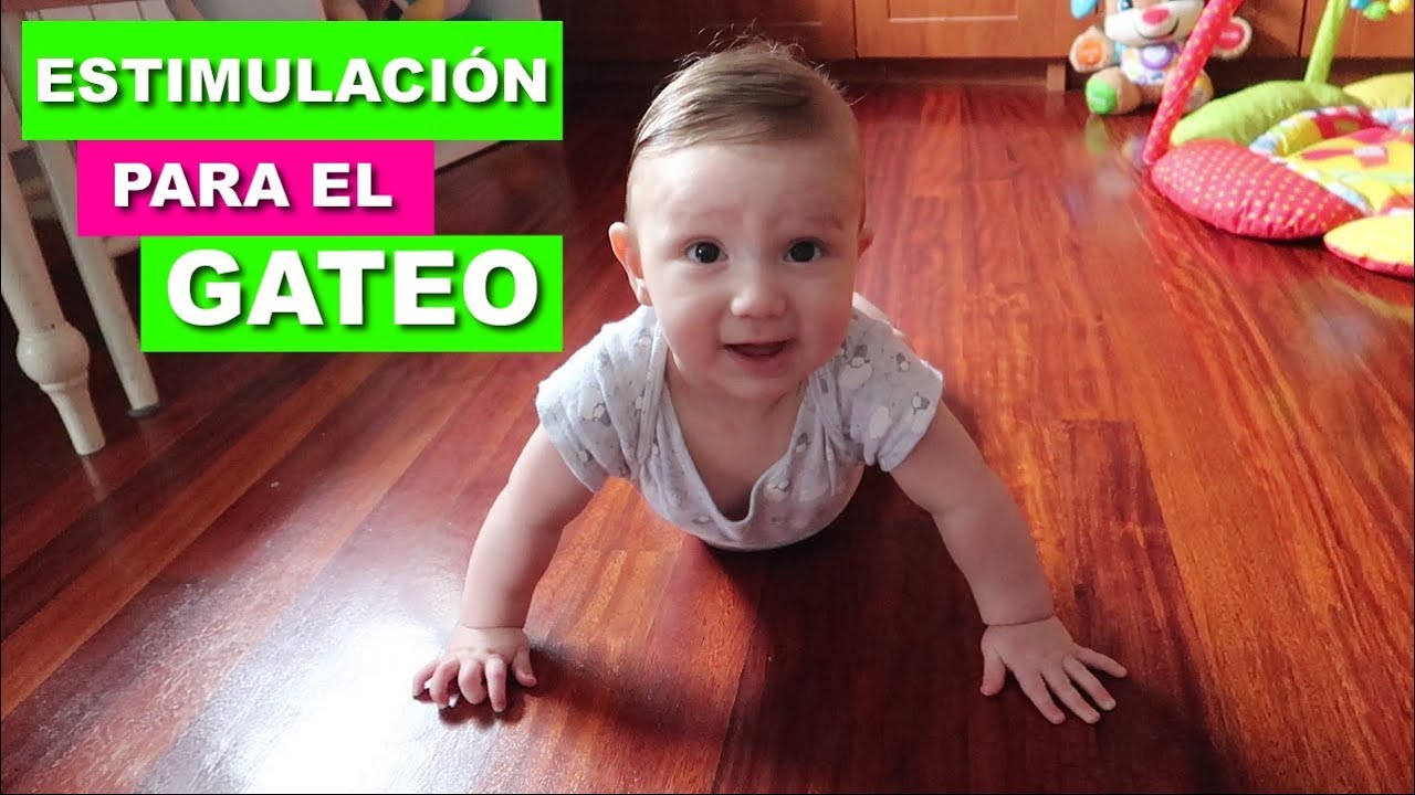 Estimulación para el Gateo | Ejercicios