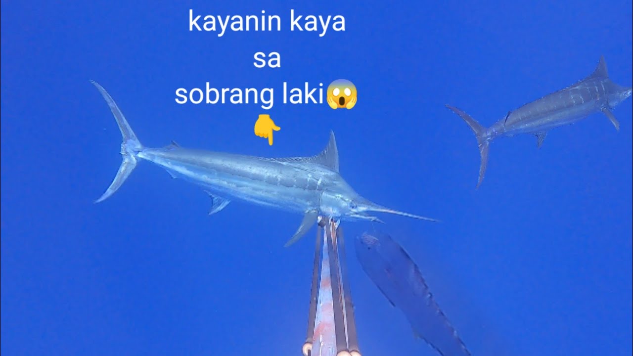 unang sabak sa laot jackpot agad sa mga naglalakihang isda thanks God 🙏