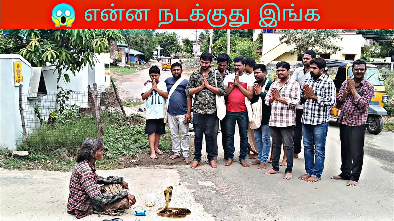 😱🐍 தொப்பி அம்மா பக்கத்தில் இருக்கும் நல்ல பாம்பு..🤯 టోపీ తల్లి తిరువణ్ణామలై