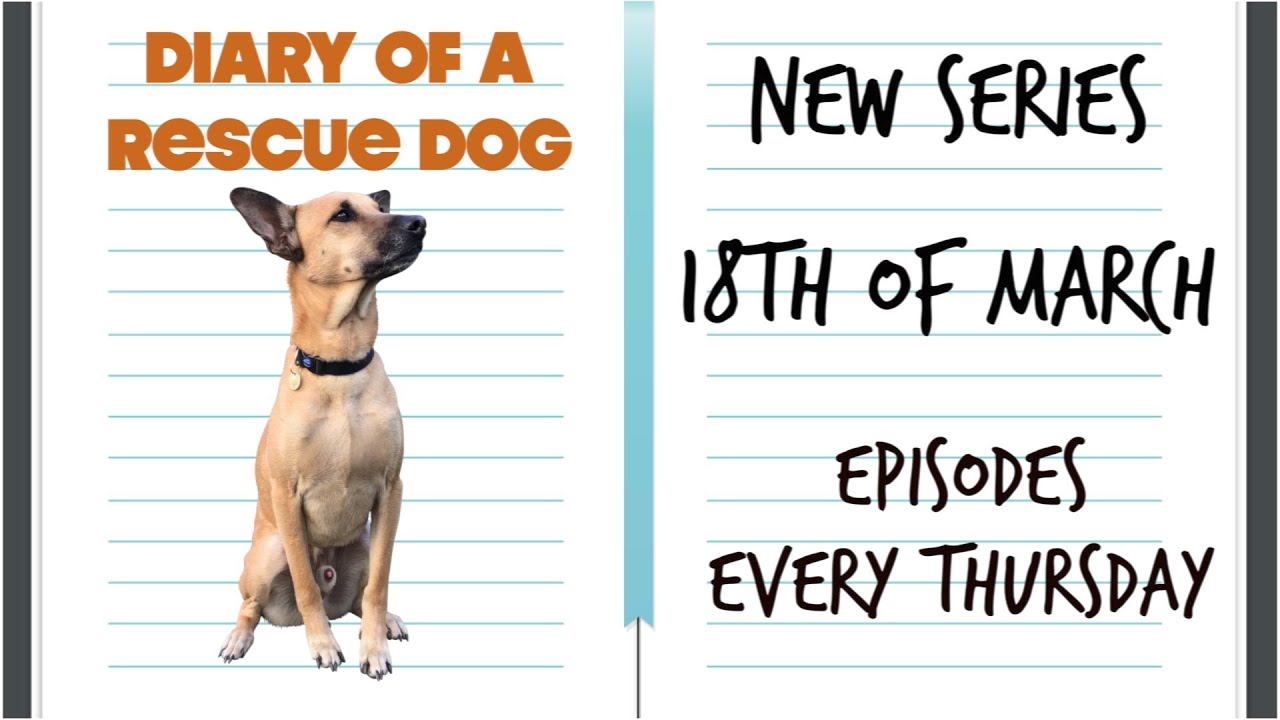 New series (Diary of a Rescue Dog) coming soon