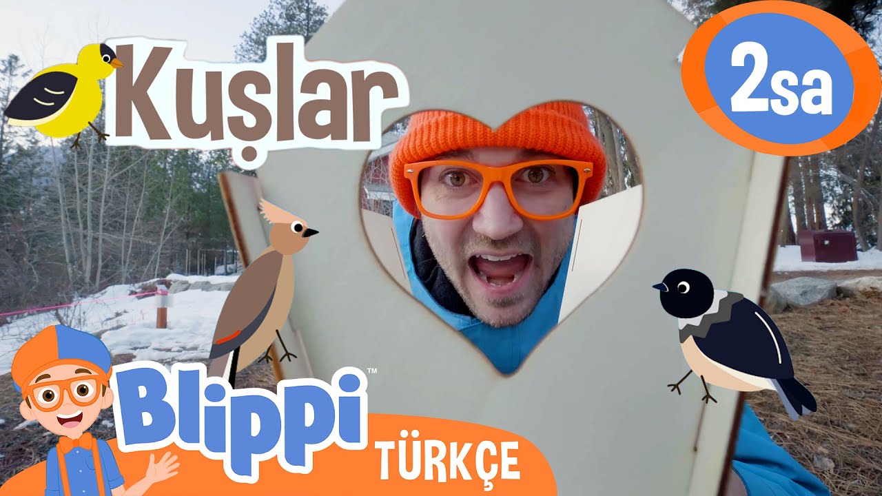 Blippi ile Kuşları Keşfet! 🐦 | Blippi Türkçe - Çocuklar için Eğitici Videolar