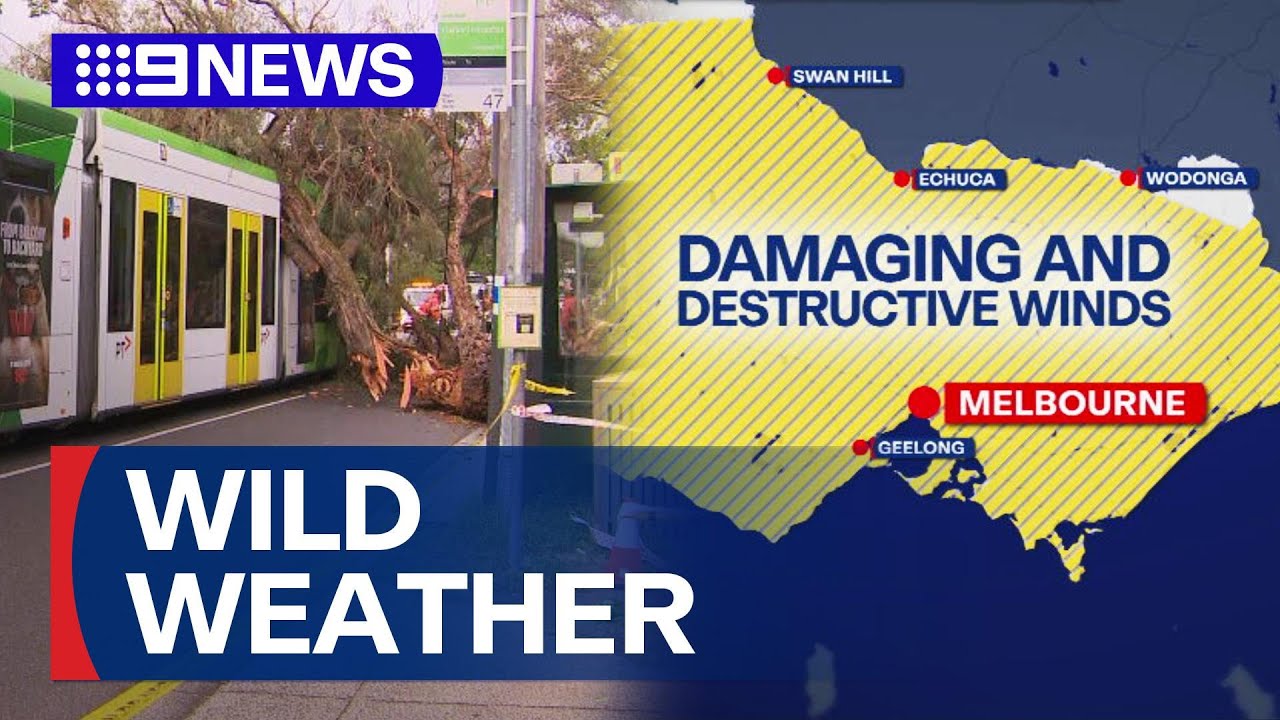 Wild weather lashes Victoria, leaving thousands without power | 9 News Australia