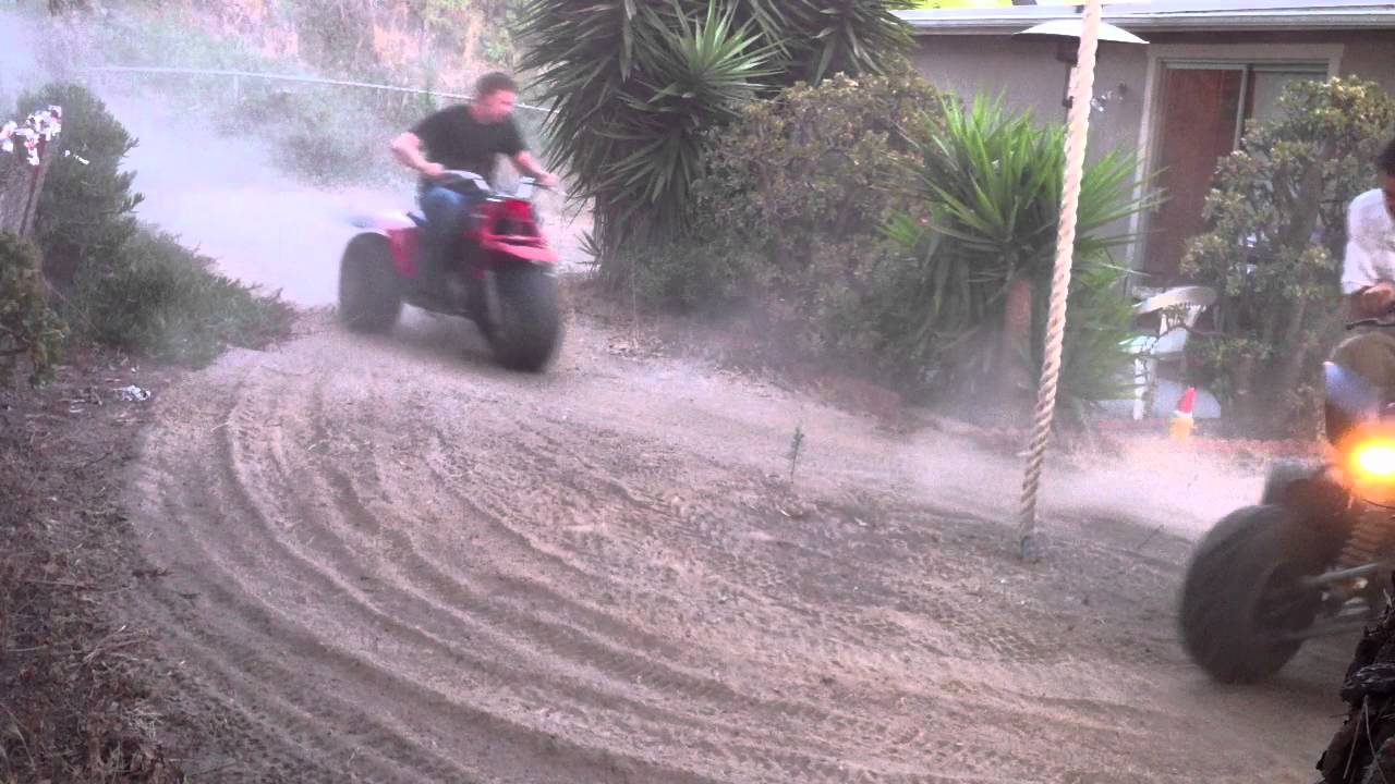 Backyard shenanigans