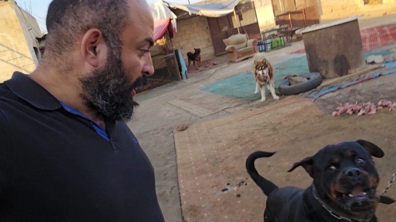 ماذا حصل ف المزرعه بعد غياب ١٥يوم؟!
