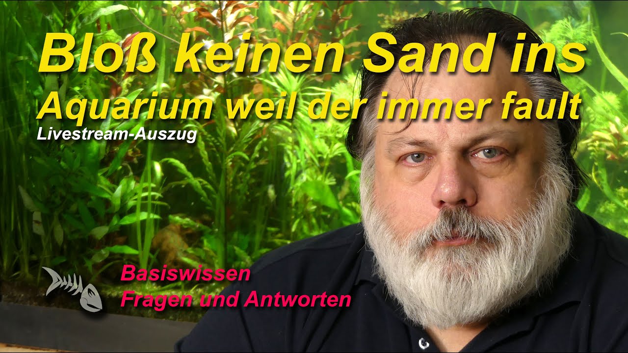 Nimm bloß keinen Sand als Bodengrund, der fault. Stimmt das?