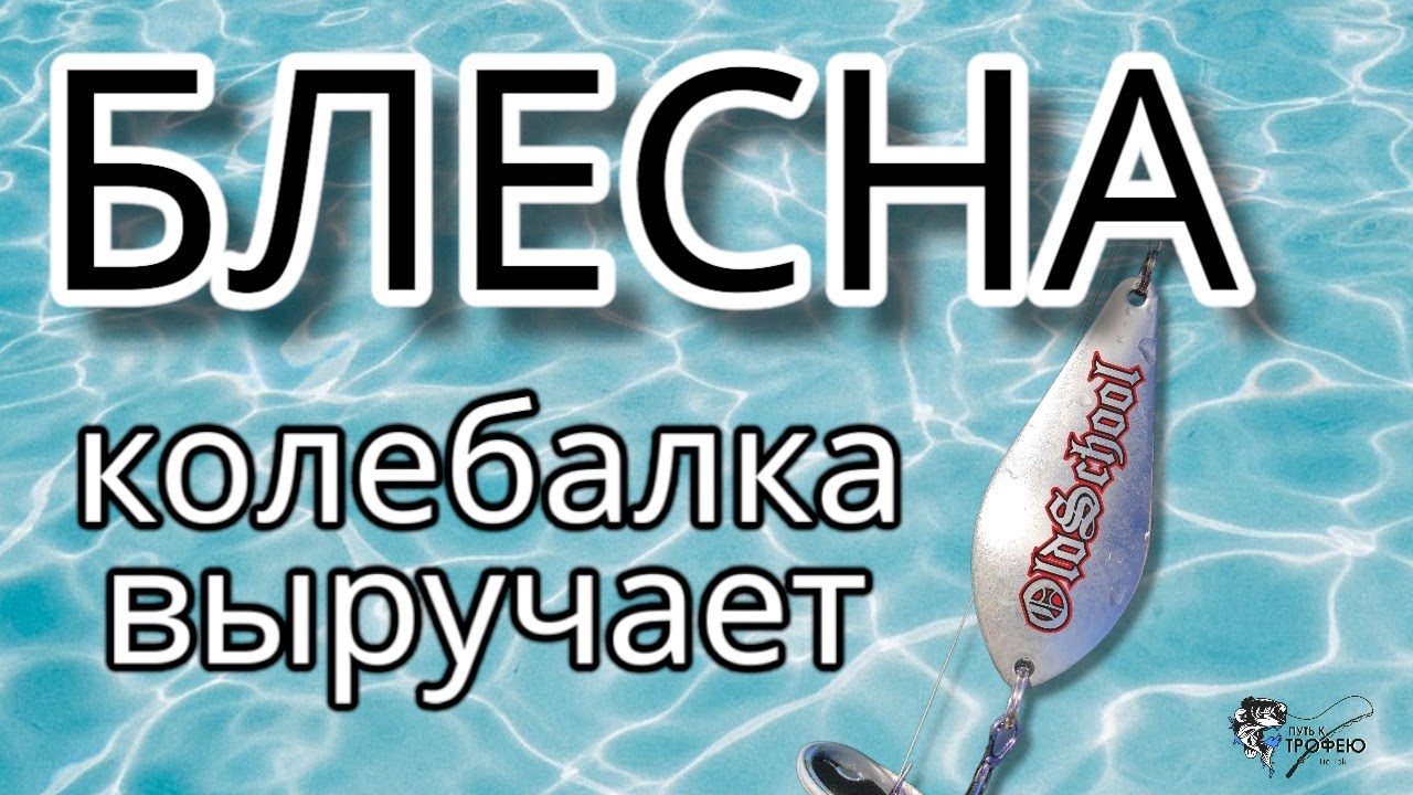 Блесна , эта проводка выручает даже в солнечную погоду .