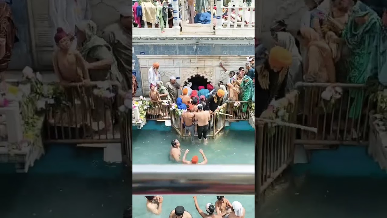 Yahan Guru Nanak hain | Panja Sahib Pakistan Gurdwara 🙏 #gurbani #shorts