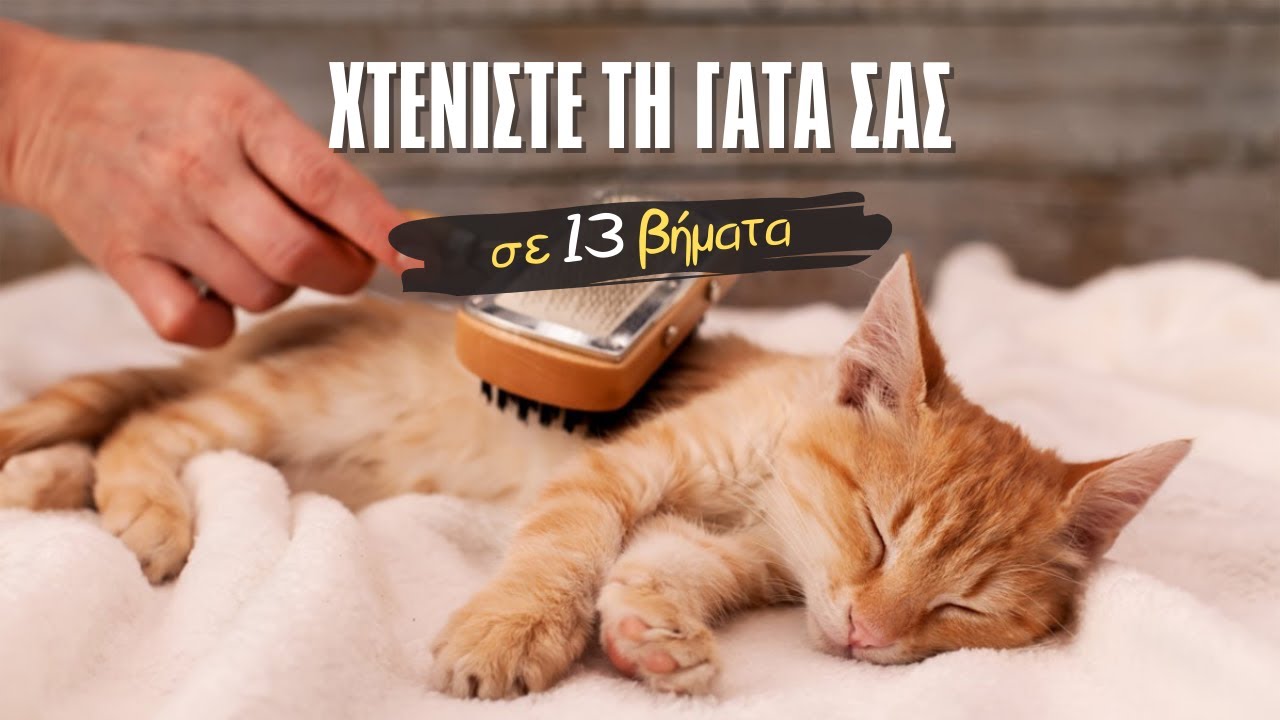Πως να χτενίσετε τη γάτα σας