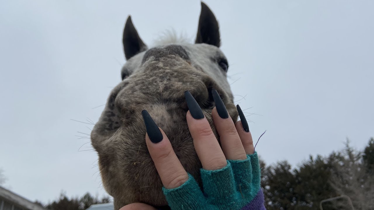 ASMR: Outdoor acreage tour - ice scratching / tapping - camera taps -  lots of animals