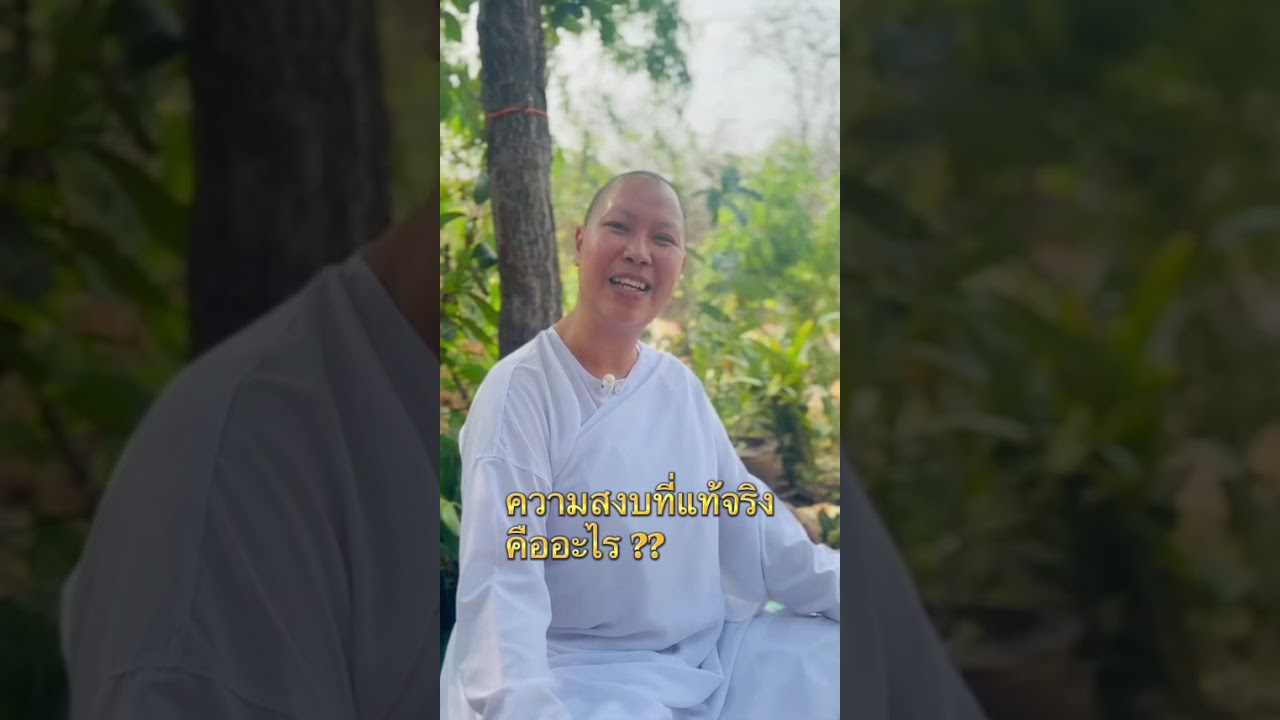 11 กุมภาพันธ์ 2569
