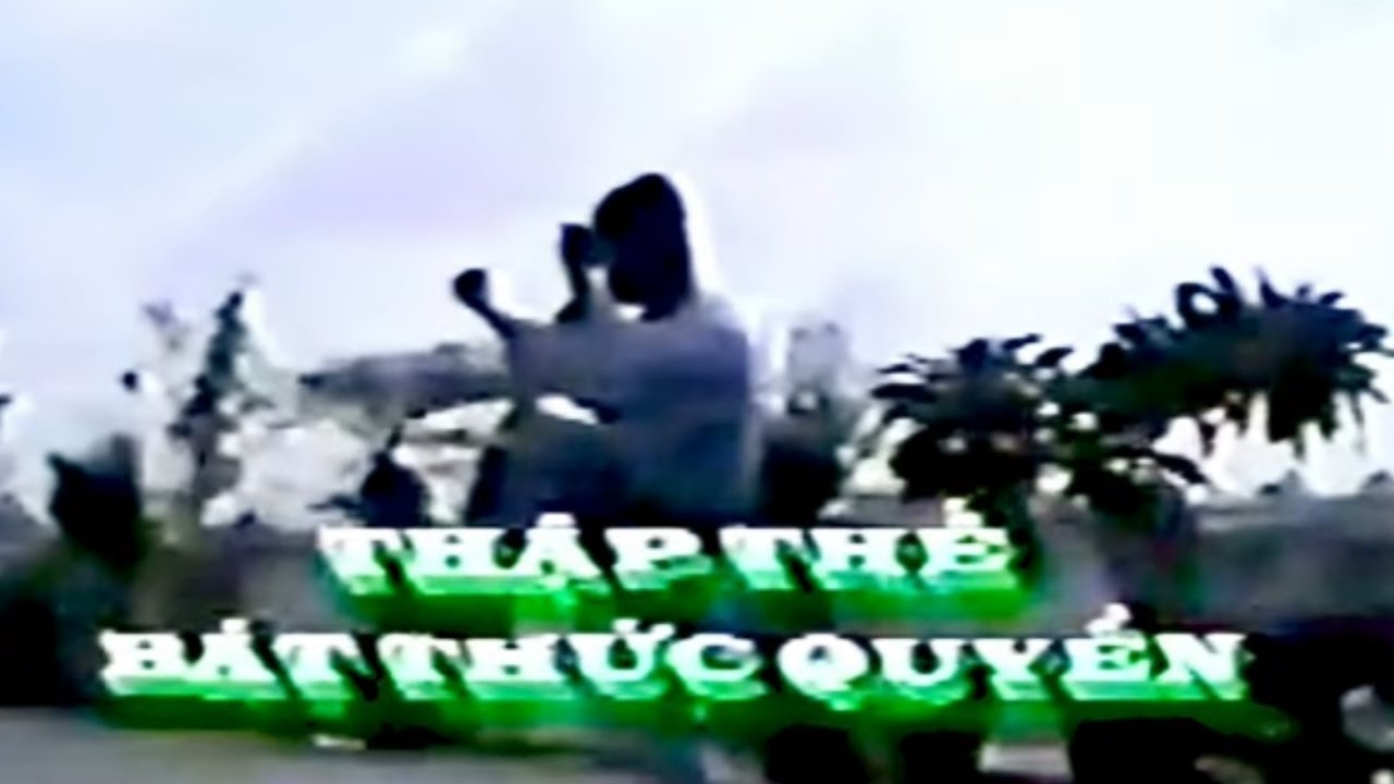 Thập Thế Bát Thức Quyền - Tổ Đường 1994 - Vovinam Việt Võ Đạo #VATW