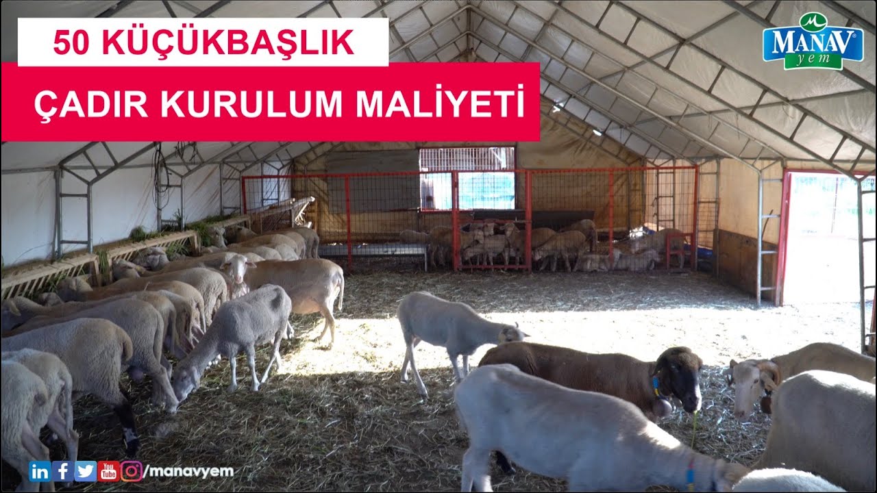 50 Küçükbaşlık Çadır Kurulum Maliyeti