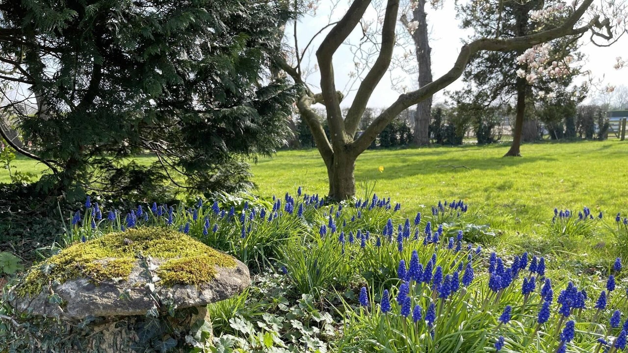 Hill Farm, Oxford, United Kingdom | Travel With Kiara