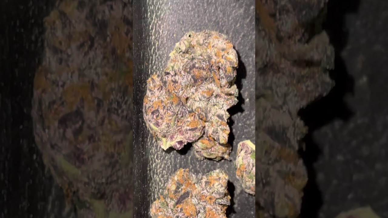 #melonatta #cookies #berner Melonatta cookies strain