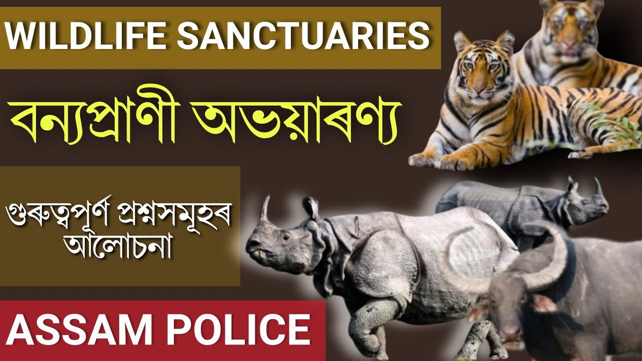 Wildlife sanctuaries in Assam/ বন্যপ্ৰাণী অভয়াৰণ্য | For Assam Police