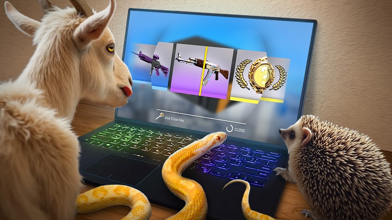 I Let 20 Animals Open CS2 Cases