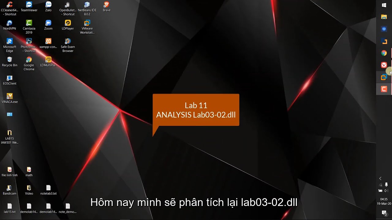 Lab11-IAM302_ReverseEngineering Analysis Lab03 02 dll