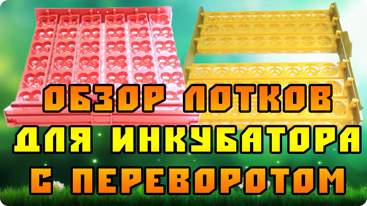 Обзор 2-х типов лотков для автоматического инкубатора (авто переворот яиц)