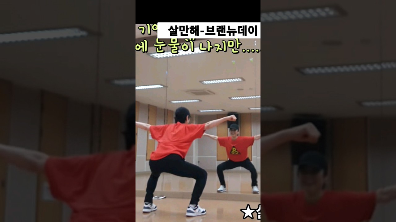 #살만해 #Remix  #브랜뉴데이 #Salmanhae #Brand_New_Day #shorts