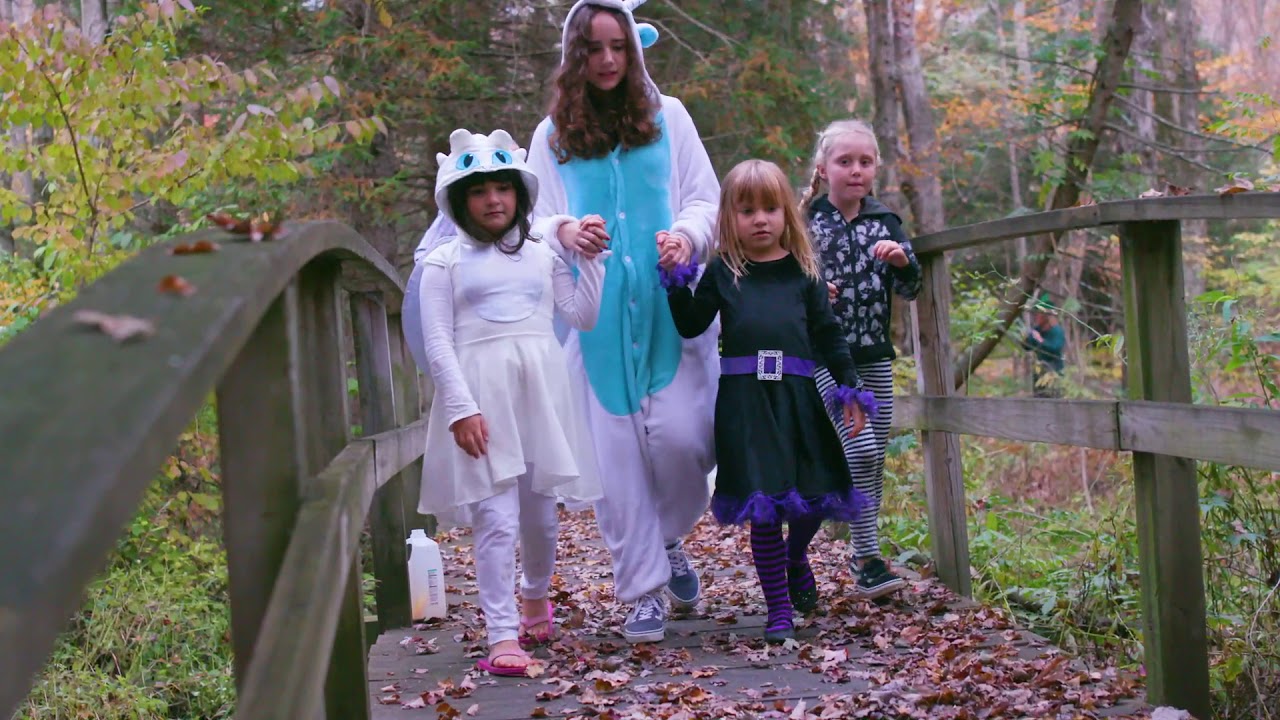 Enchanted Forest at Connecticut Audubon Society