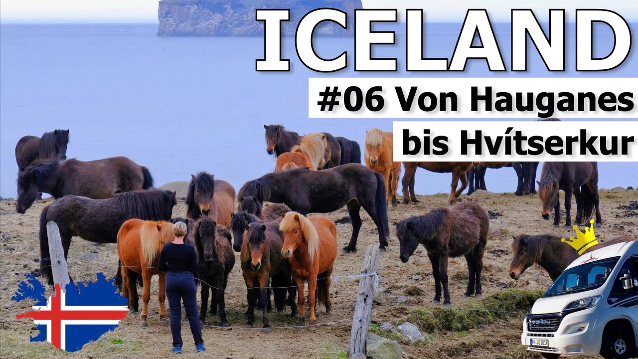 Camping mit Hot Pools, Islandpferde und ein Dinosaurier