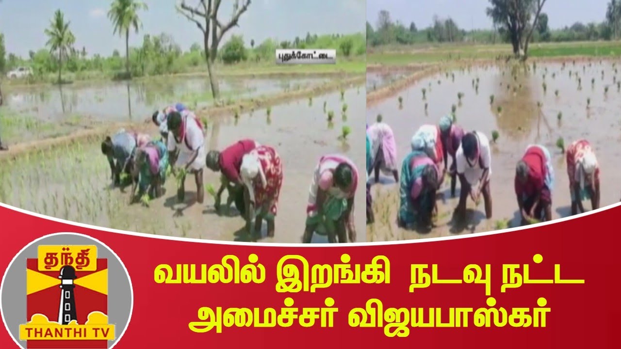 வயலில் இறங்கி  நடவு நட்ட அமைச்சர் விஜயபாஸ்கர் | Minister Vijayabaskar | TN Election 2021 | AIADMK