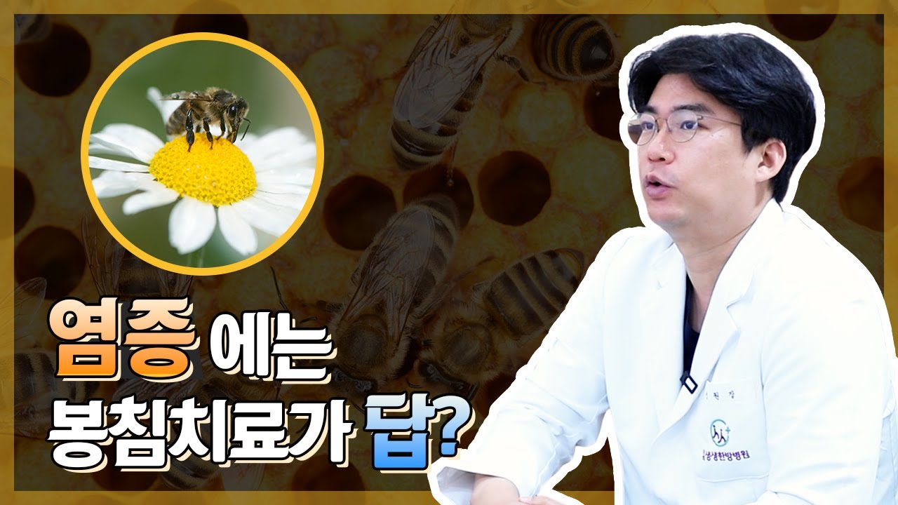 염증개선에 좋은 봉침치료, 어떤 효과가 있을까??