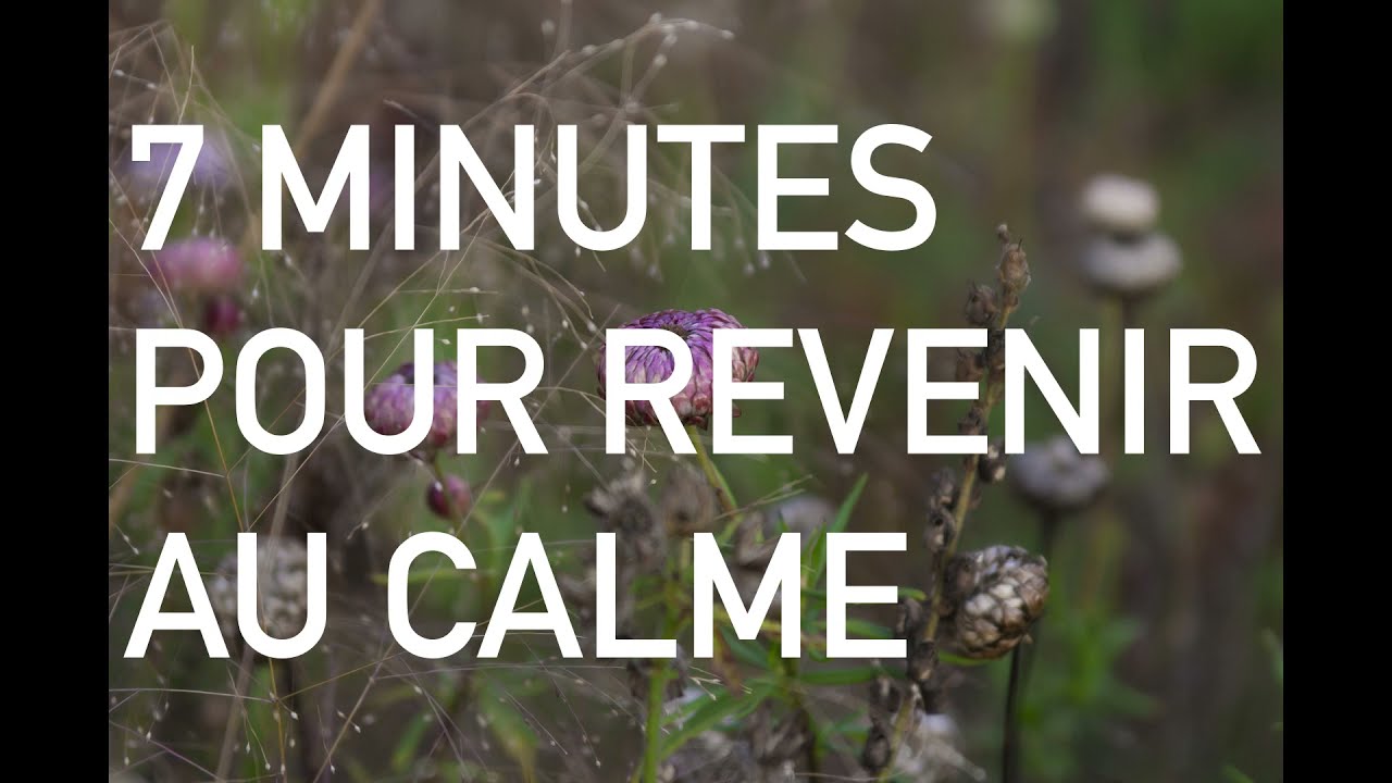 Méditation - 7 minutes pour revenir au calme ⟡ Ginkgo