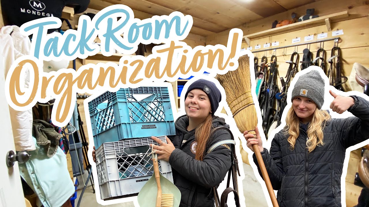 RE-ORGANIZING my entire TACK ROOM!! | Hailey Liberty