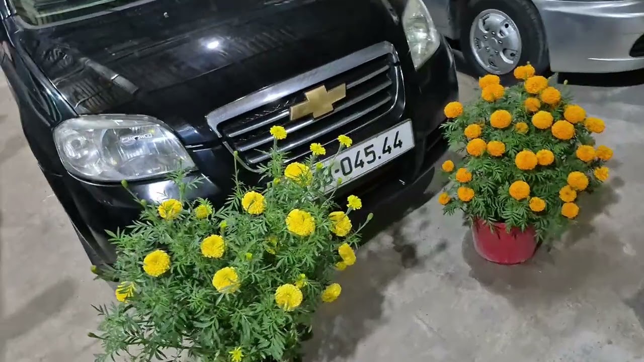 Chúc mừng năm mới toàn thể gia đình nhé