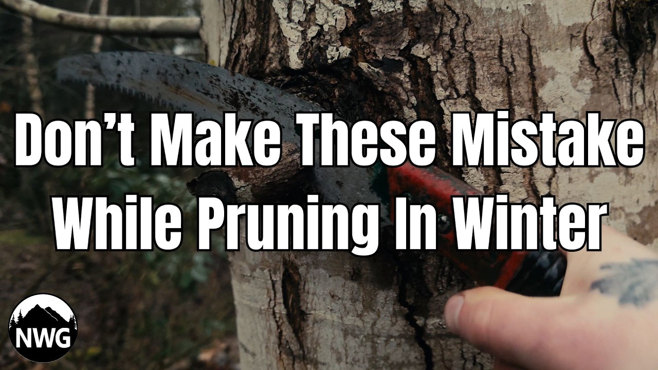 Common Mistakes While Winter Pruning