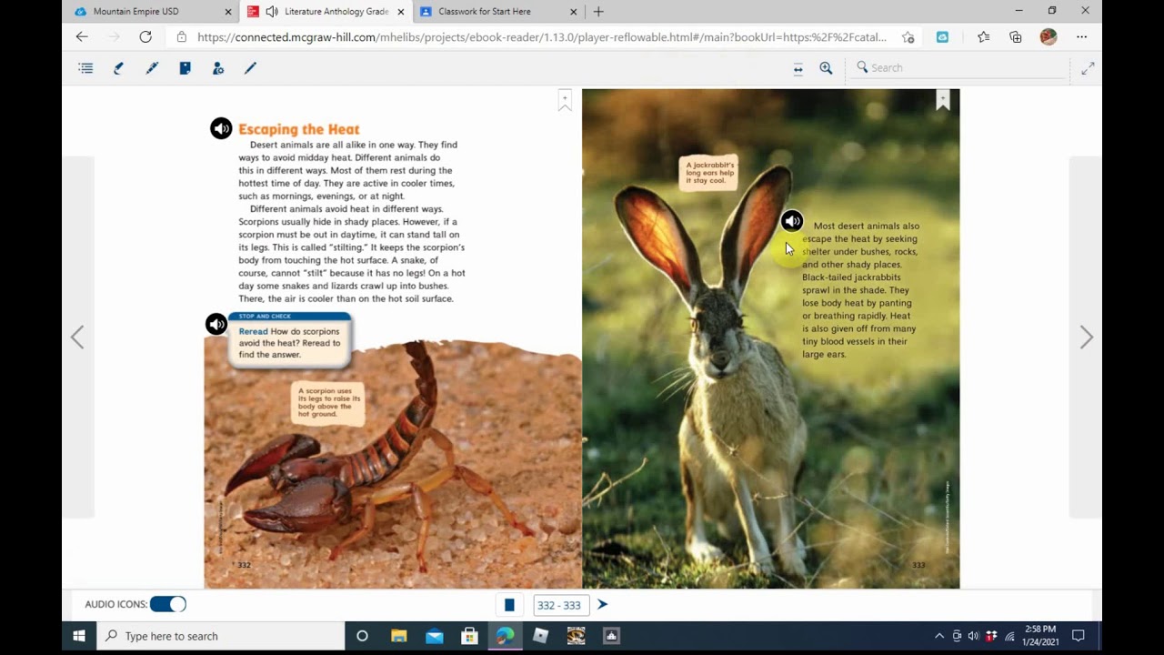 Amazing Wildlife of the Mojave
