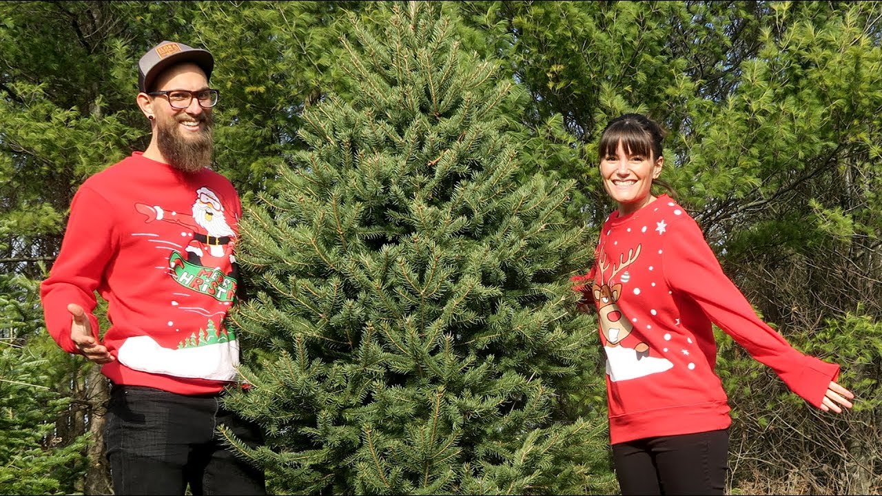 CUTTING DOWN OUR FIRST REAL CHRISTMAS TREE! 🎄