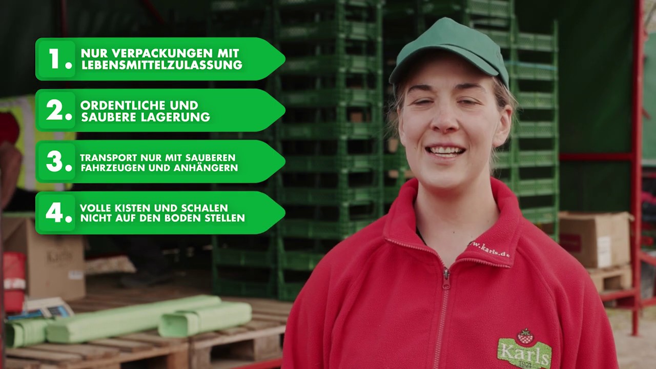 Verpackung und Transport bei der Beerenernte