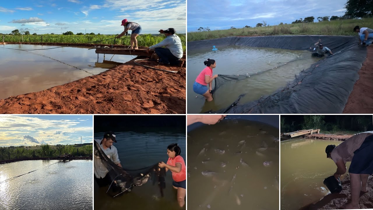 FIZEMOS UM AERADOR CASEIRO| BUSCAMOS E COLOCAMOS OS PRIMEIROS PEIXES NO TANQUE!!!