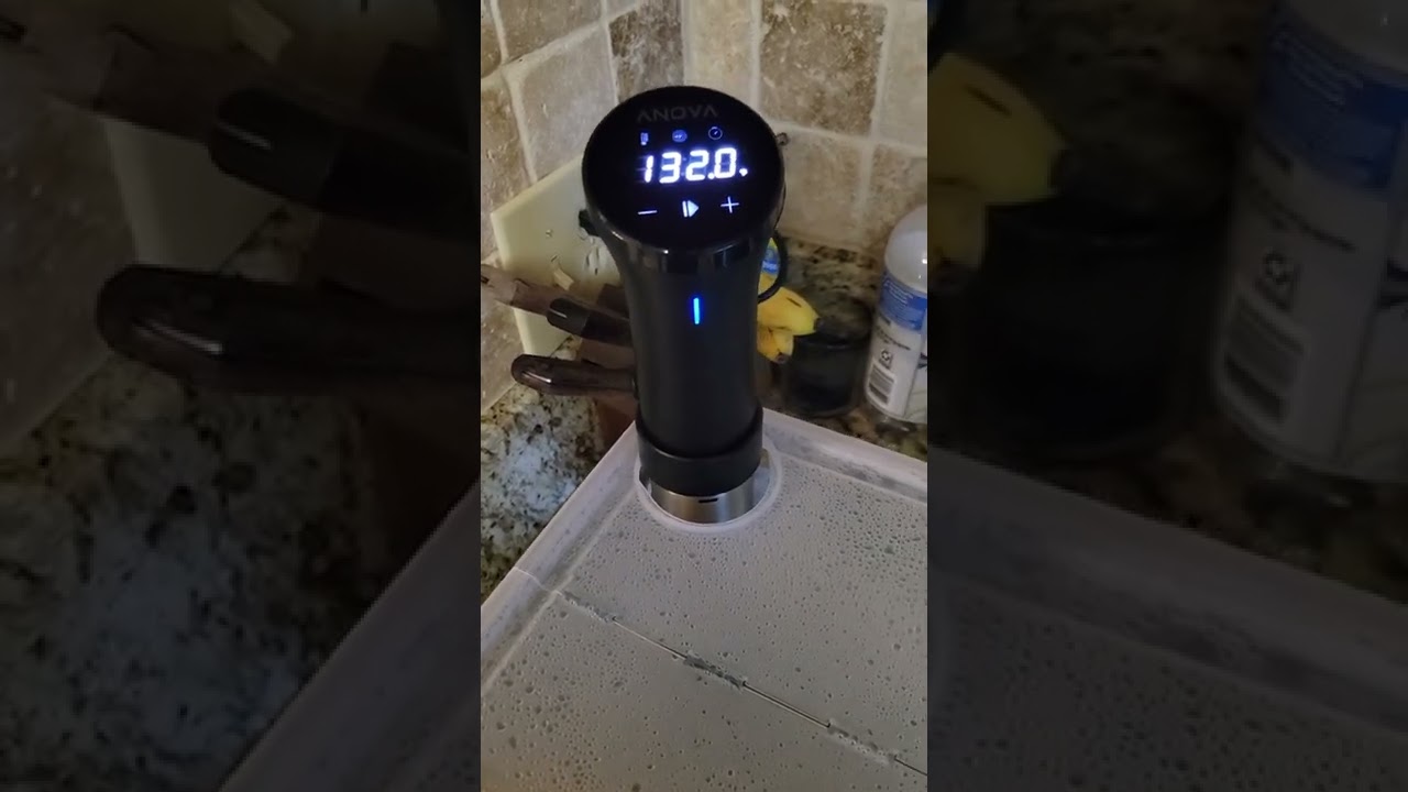Anova Precision Cooker
