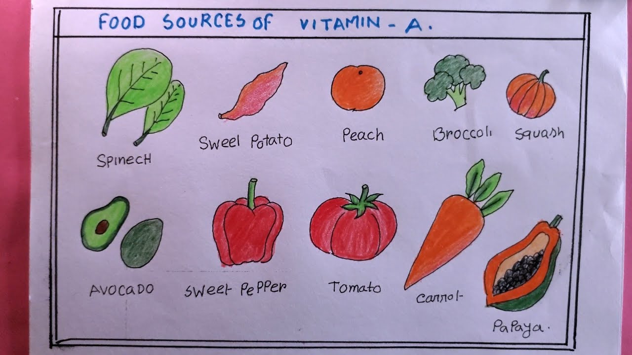 how to draw vitamin A food/draw sources of vitamin A/sources of vitamin a drawing