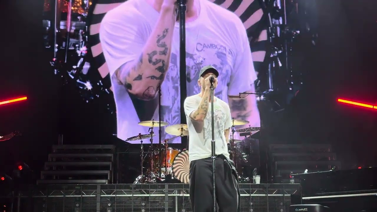 ONEREPUBLIC _ NEED YOUR LOVE (LIVE PARIS 2025)