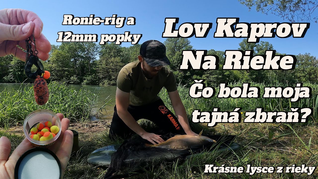 3x5 hodín pri vode, lov Kapra na rieke s PopUp boilies a ronnie rig #rybolov #kapor #kaprarina