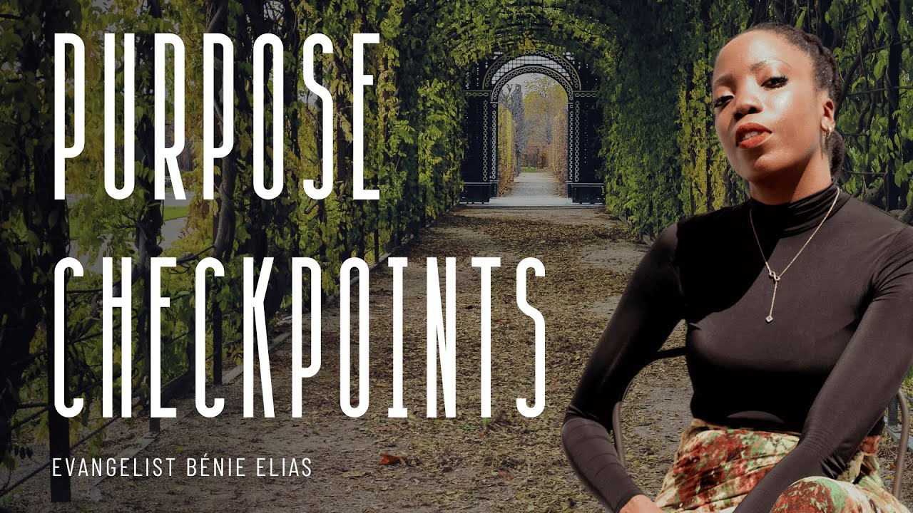 PURPOSE CHECKPOINTS | THE VOYAGE | Bénie Elias