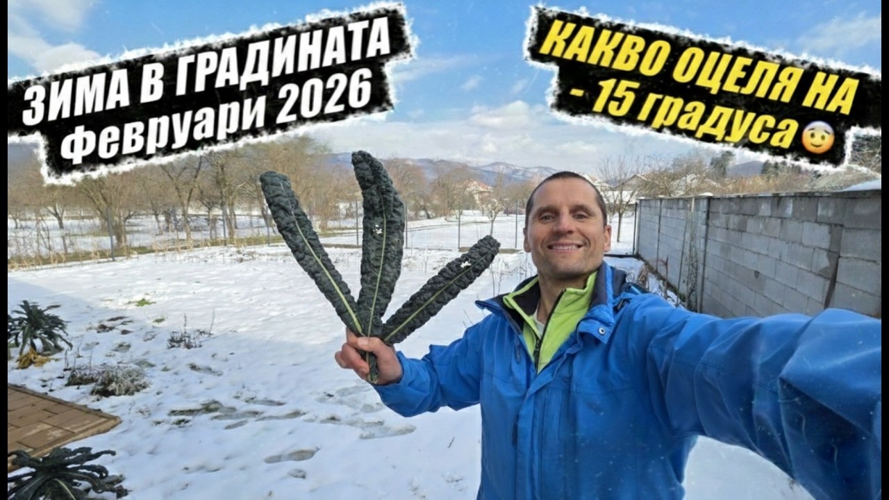 Какво ОЦЕЛЯ на -15 ГРАДУСА в ГРАДИНАТА + полезни съвети 22.02.2026