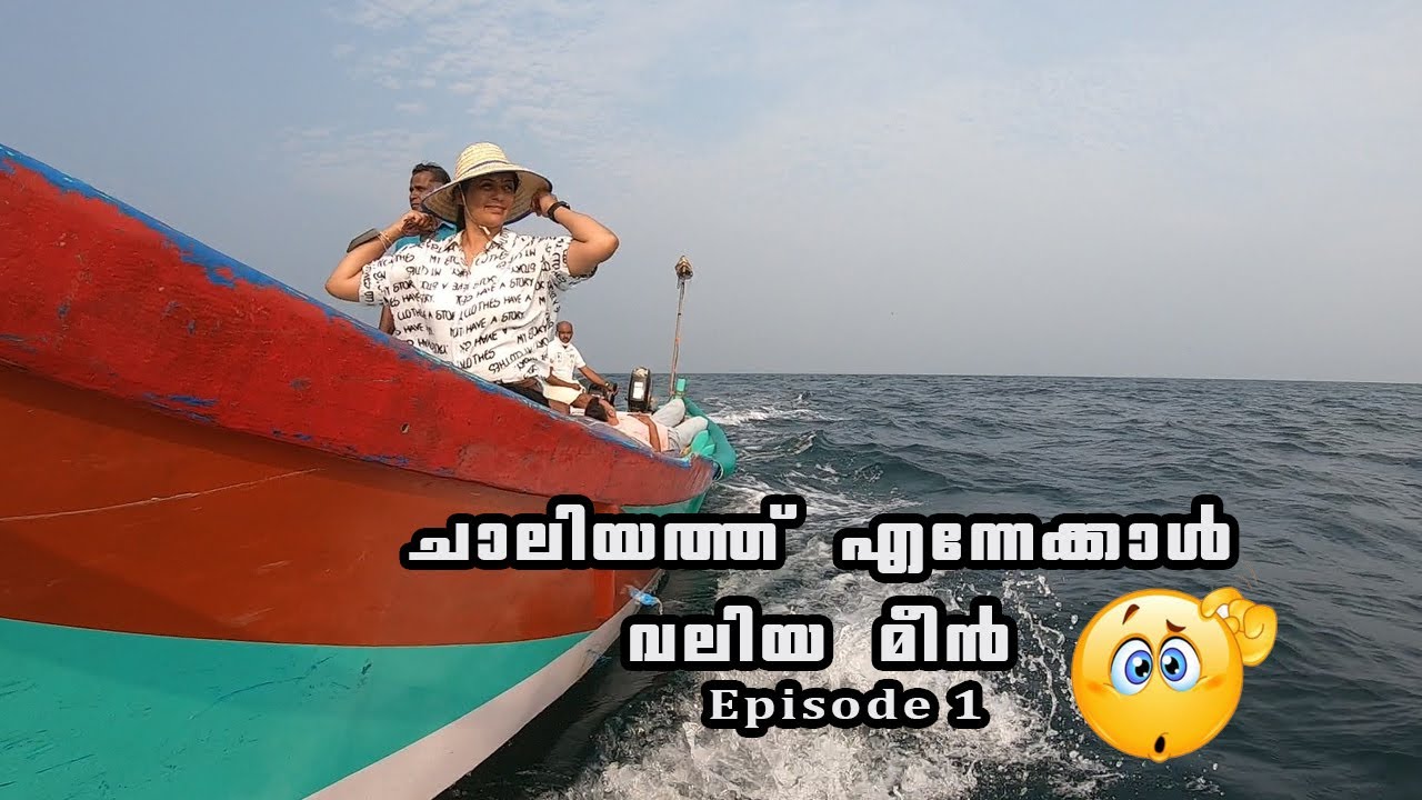 ചാലിയം മീൻ മാർക്കറ്റിലെ ചാകര കണ്ടിട്ടുണ്ടോ ??? Kozhikode Chaliyum Fish Market #EarthVibes#bloger