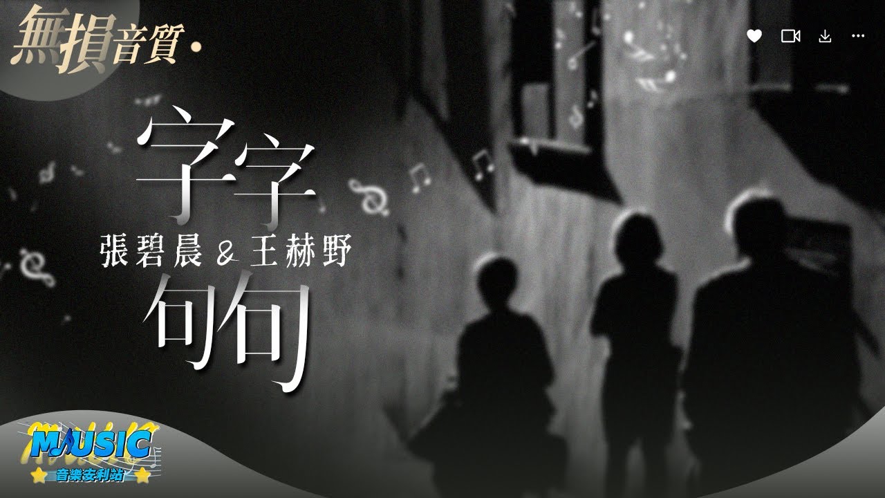 張碧晨&王赫野 &mdash;《字字句句》『他字字未提喜歡妳 妳句句都是我願意 他壹句寂寞時候的回應 妳卻激動不已』【動態歌詞/Lyrics Music】♪