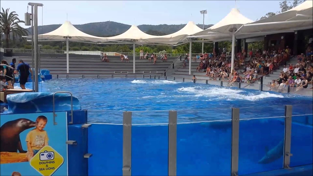 Full Dolphin Show - Marineland - Mallorca 2014