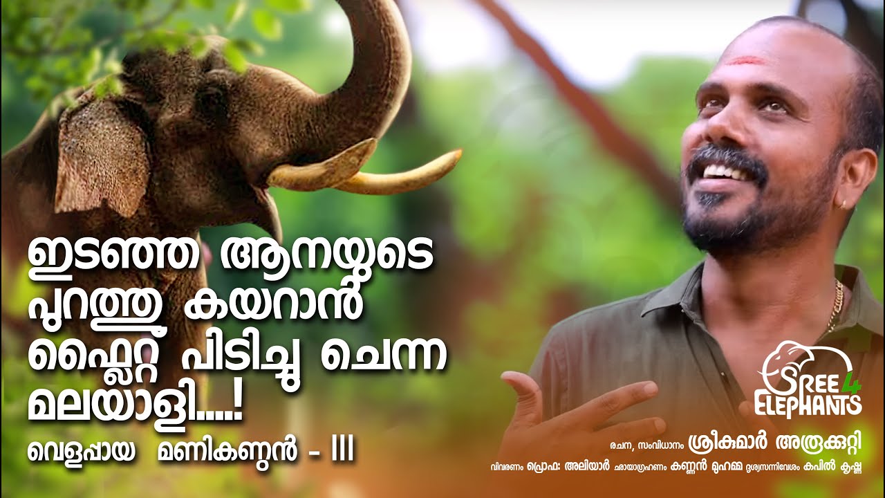 ആനച്ചന്തം - സിനിമ.. ഈ മനുഷ്യന്റെ ജീവിതം തന്നെ...?