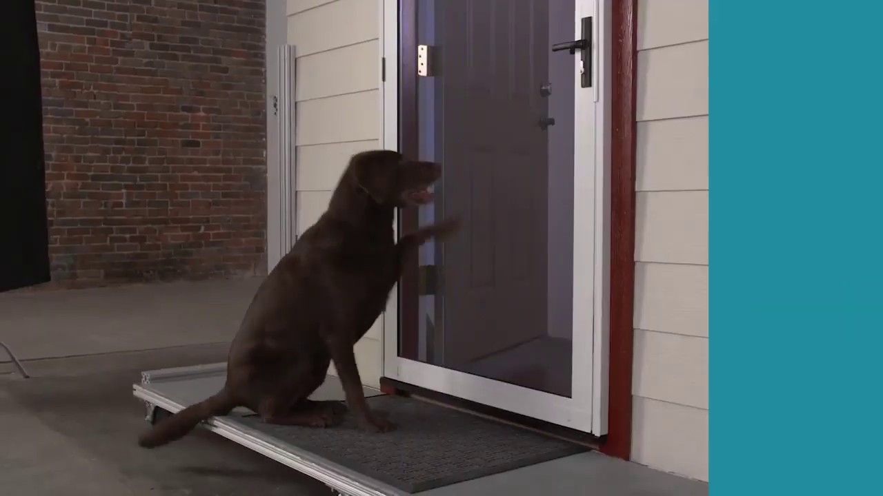Pets Testing SecuraView