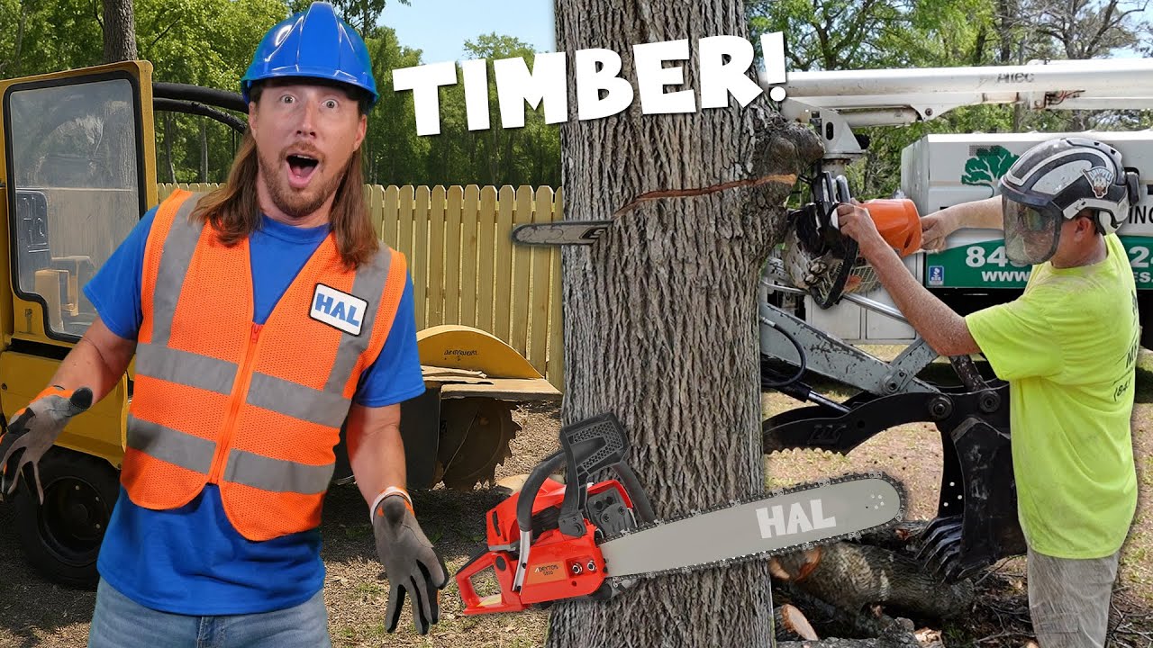 Handyman Hal Cuts Trees! Chainsaw Action, Bucket Truck & Stump Grinding | Tree Trimming Fun! 🌳🪓